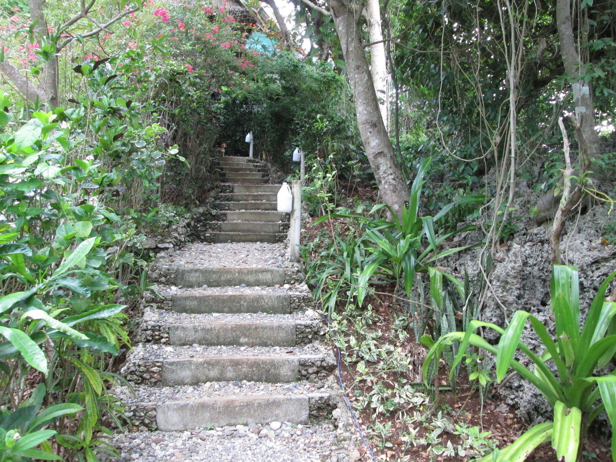 Balinghai